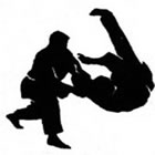 Hapkido em Curitiba