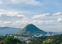 Concurso FEAS Curitiba