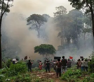 Derrubada do Bosque da Copel