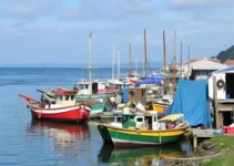 prefeitura abre pontos de pescados