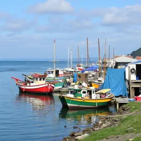 prefeitura abre pontos de pescados
