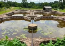 Sanepar usa plantas para criar estação de esgoto lixo zero em Curitiba