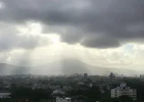semana em Curitiba